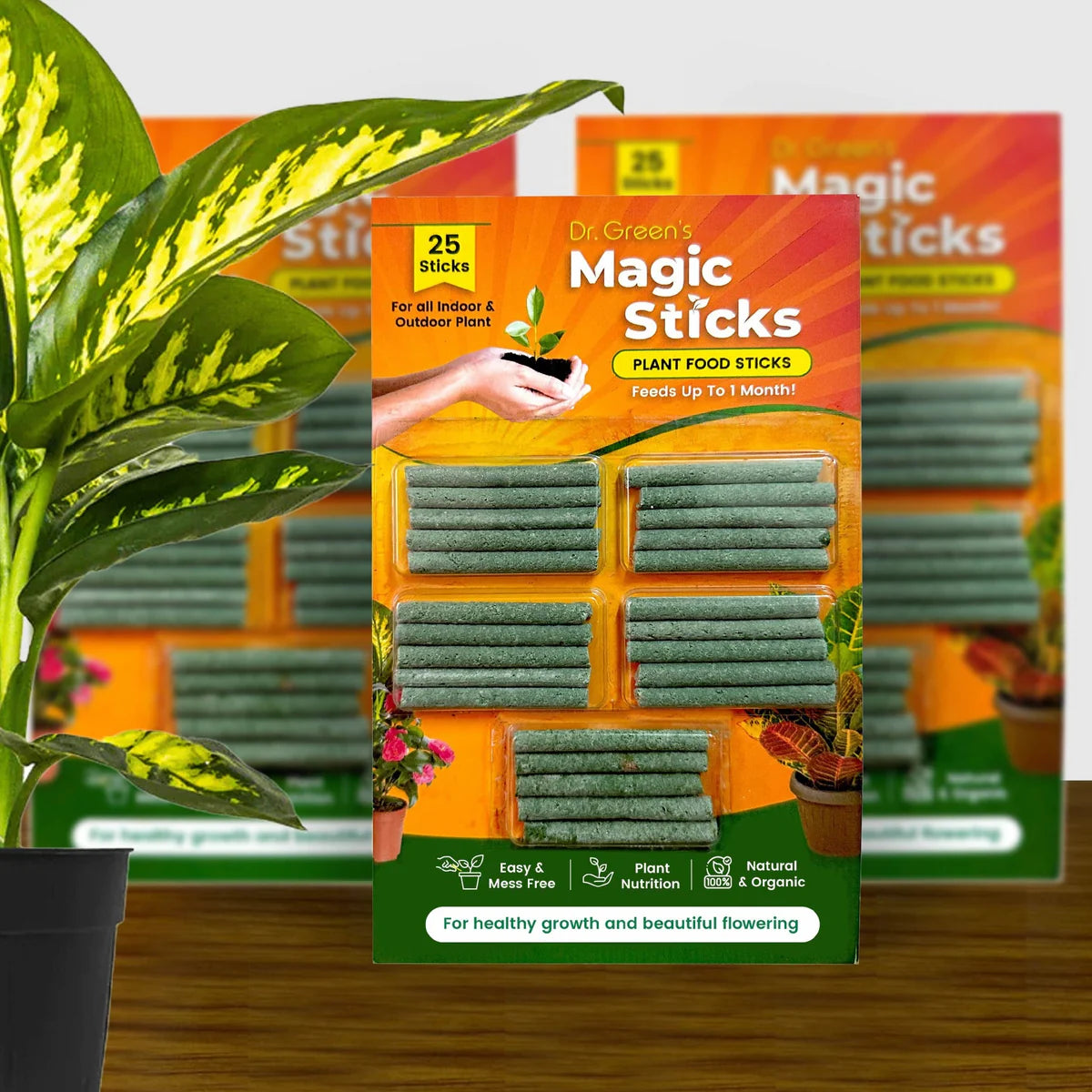 Dr.Green's - Magic Plant Sticks (PACK OF 2)- 50 Sticks