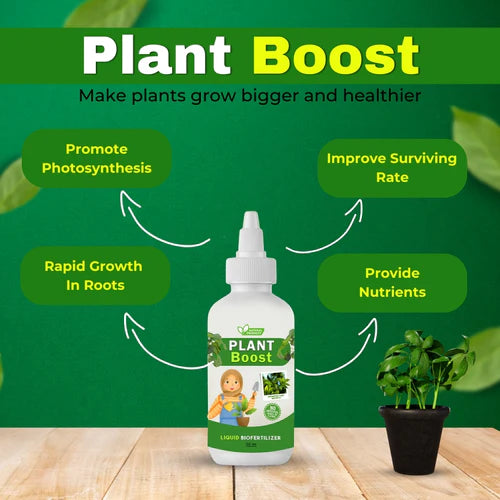 Blossom Burst Multiflora Seeds + Plant Boost Free