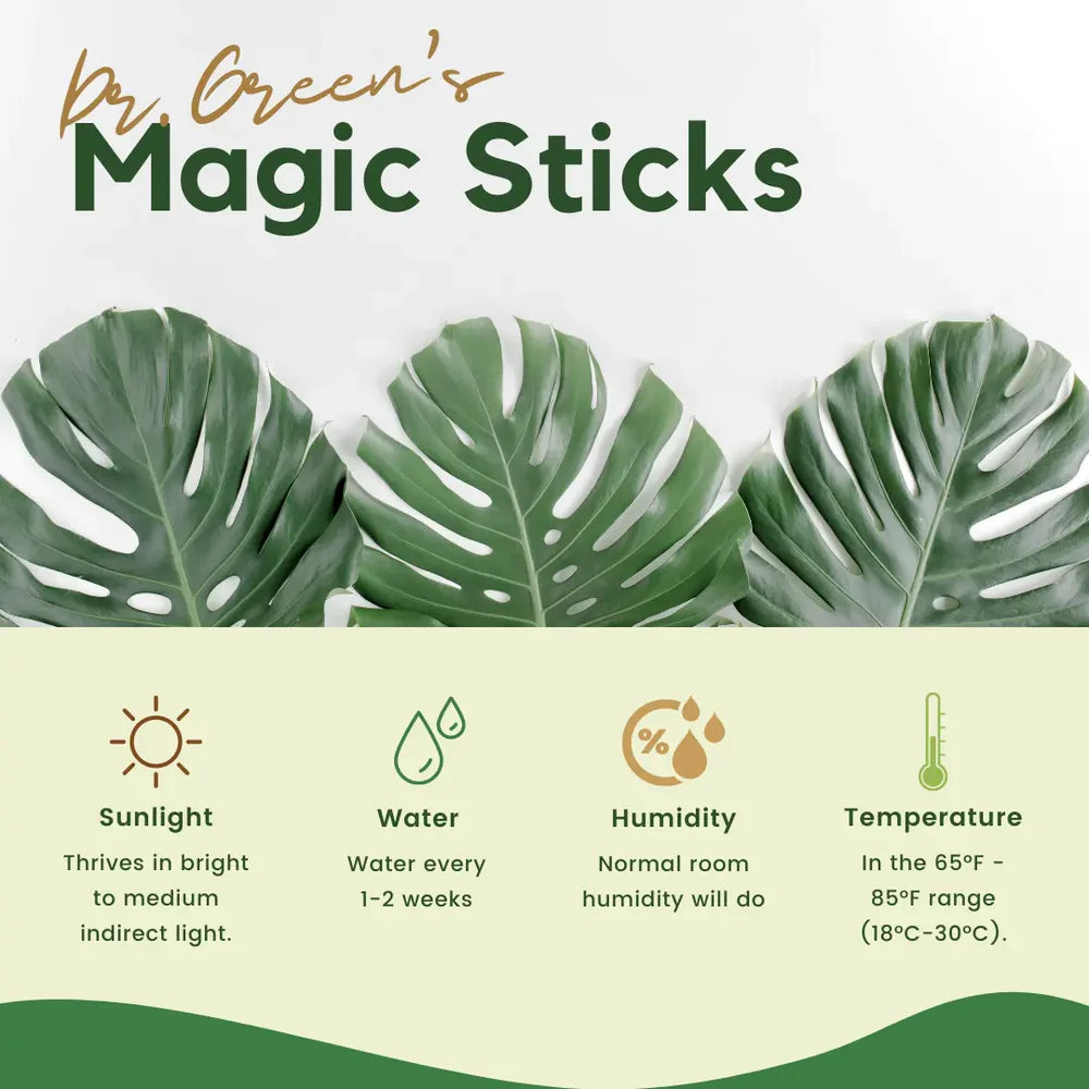 Dr.Green's - Magic Plant Sticks (PACK OF 2)- 50 Sticks