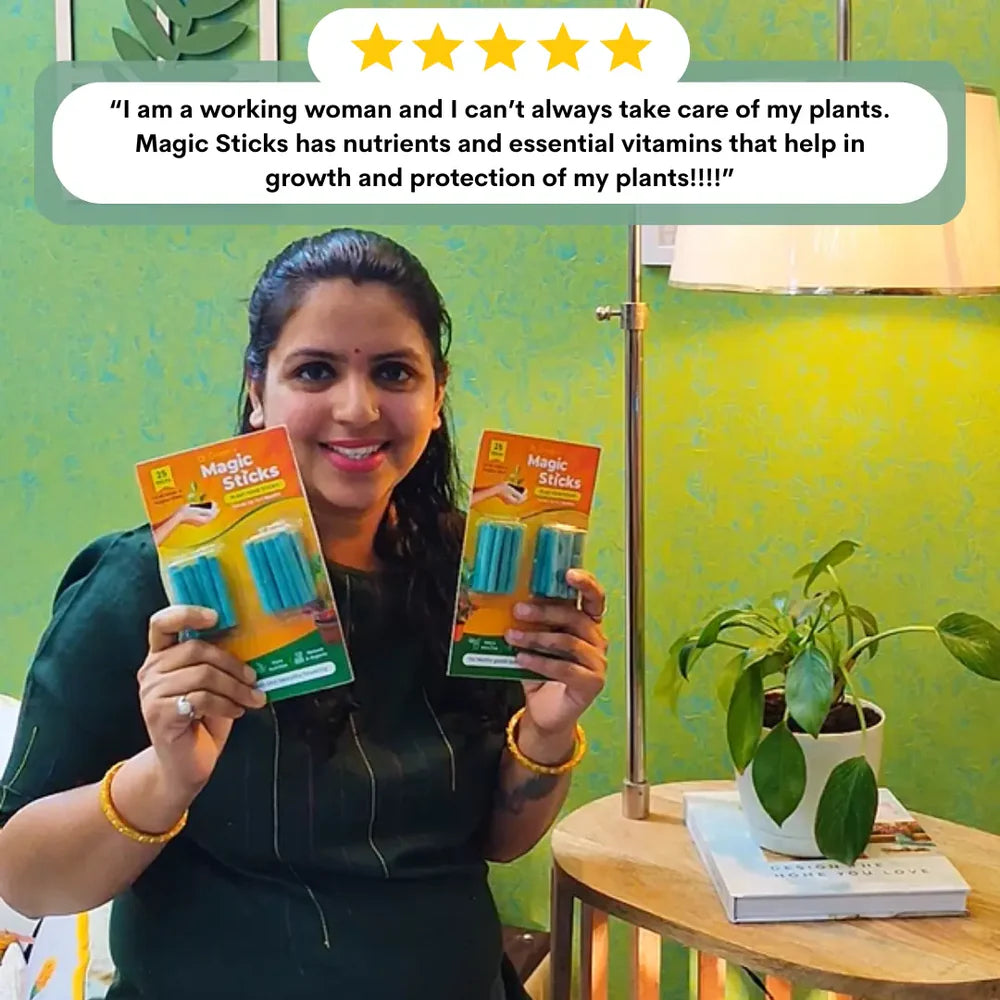 Dr.Green's - Magic Plant Sticks - Pack of 2 (50 Sticks)