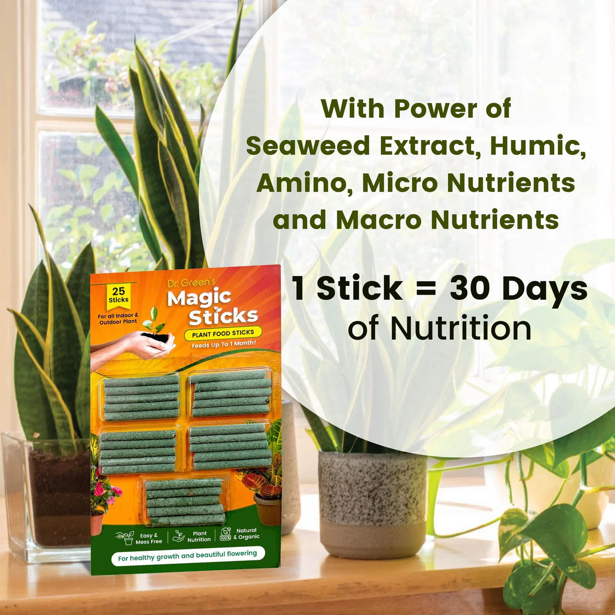 Dr.Green's - Magic Plant Sticks (PACK OF 2)- 50 Sticks