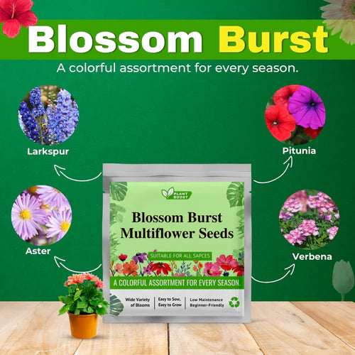 Blossom Burst Multiflora Seeds + Plant Boost Free