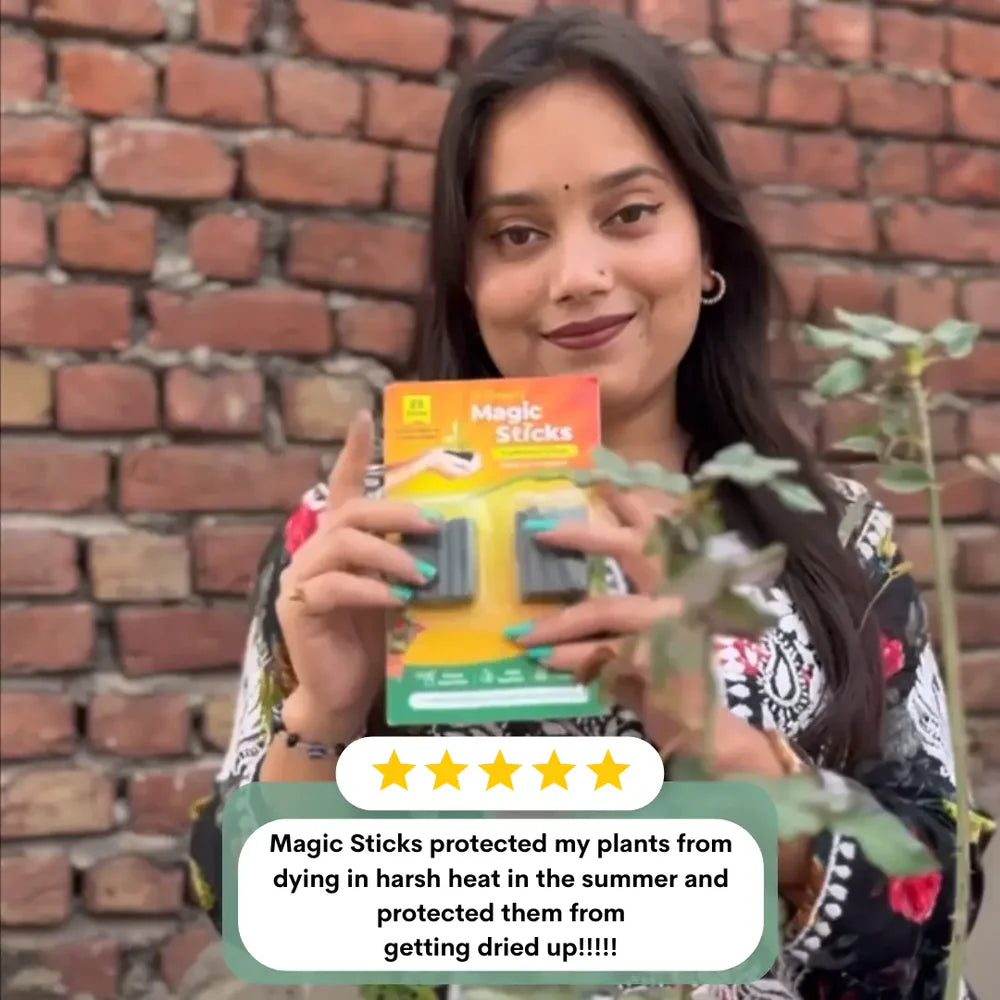 Dr.Green's - Magic Plant Sticks - Pack of 2 (50 Sticks)