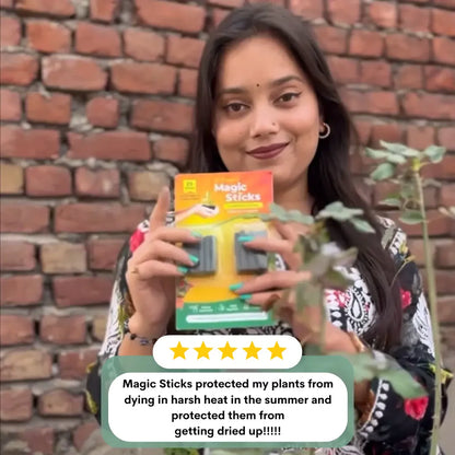 Dr.Green's - Magic Plant Sticks - Pack of 2 (50 Sticks)