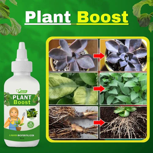 Blossom Burst Multiflora Seeds + Plant Boost Free